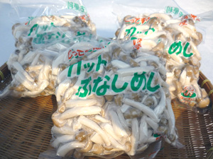 �J�b�g�ԂȂ��߂�