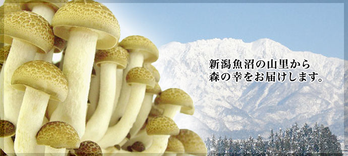 �V�������̎R������X�̍K�����͂����܂��B