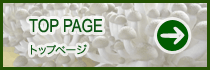 トップページ